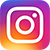 dlux-professional-instagram.png