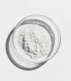 Pudra de laminare - GLUELESS LIFT POWDER - 5g - DLUX - imagine 2
